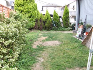荒れた芝庭を作りなおしたい！｜平板敷でバーベキュースペース